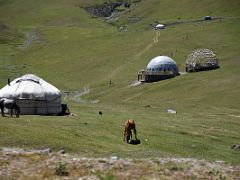 12A Horses graze in the green hills next to yurts on the descent from Taldyk Pass toward Sary Tash on the way to Lenin Peak Base Camp